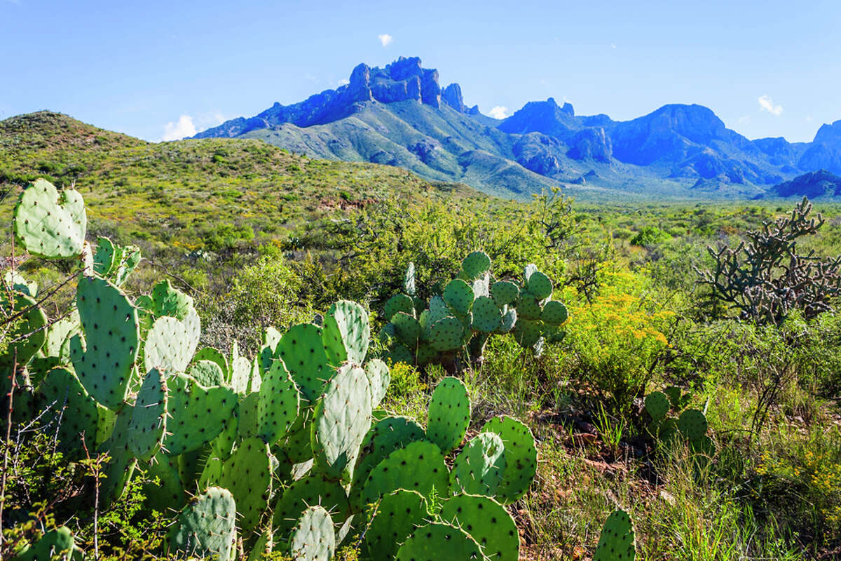Planning a day trip? Big Bend National Park to reopen for day use