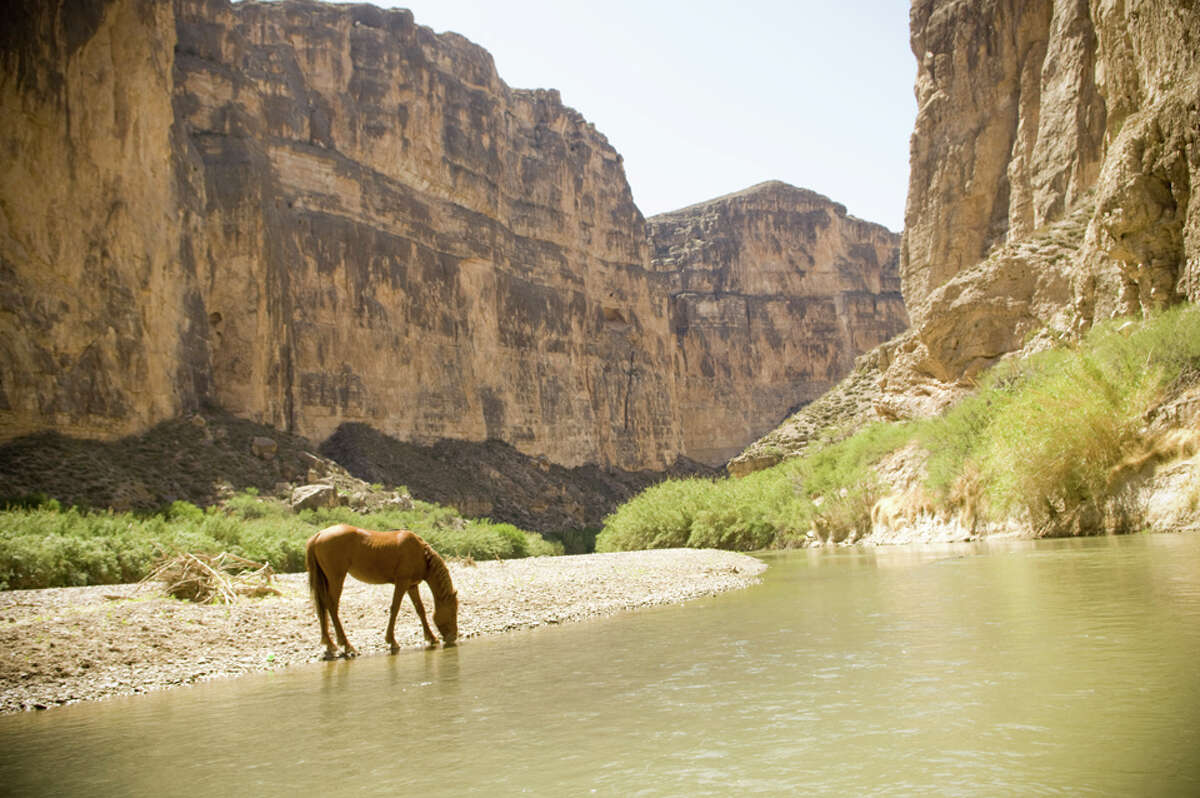 big bend national park dinosaurs