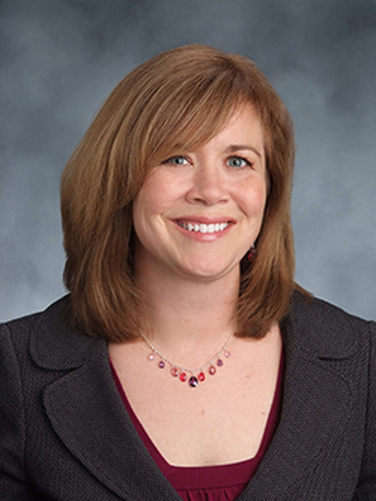 Albany Law School announced on Jan. 22, 2015, that Alicia Ouellette was been named dean of the law school, making her the 18th dean in its 163-year history. She is a 1994 graduate of the school. (Albany Law School photo)