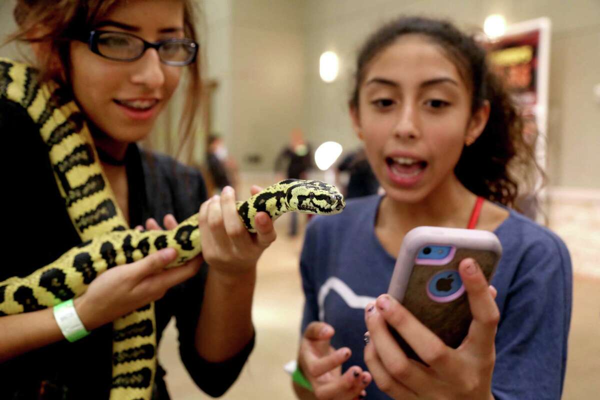 reptile expo houston reptile expo houston