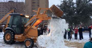 7 Powerful Herbs For Increasing Testosterone Naturally