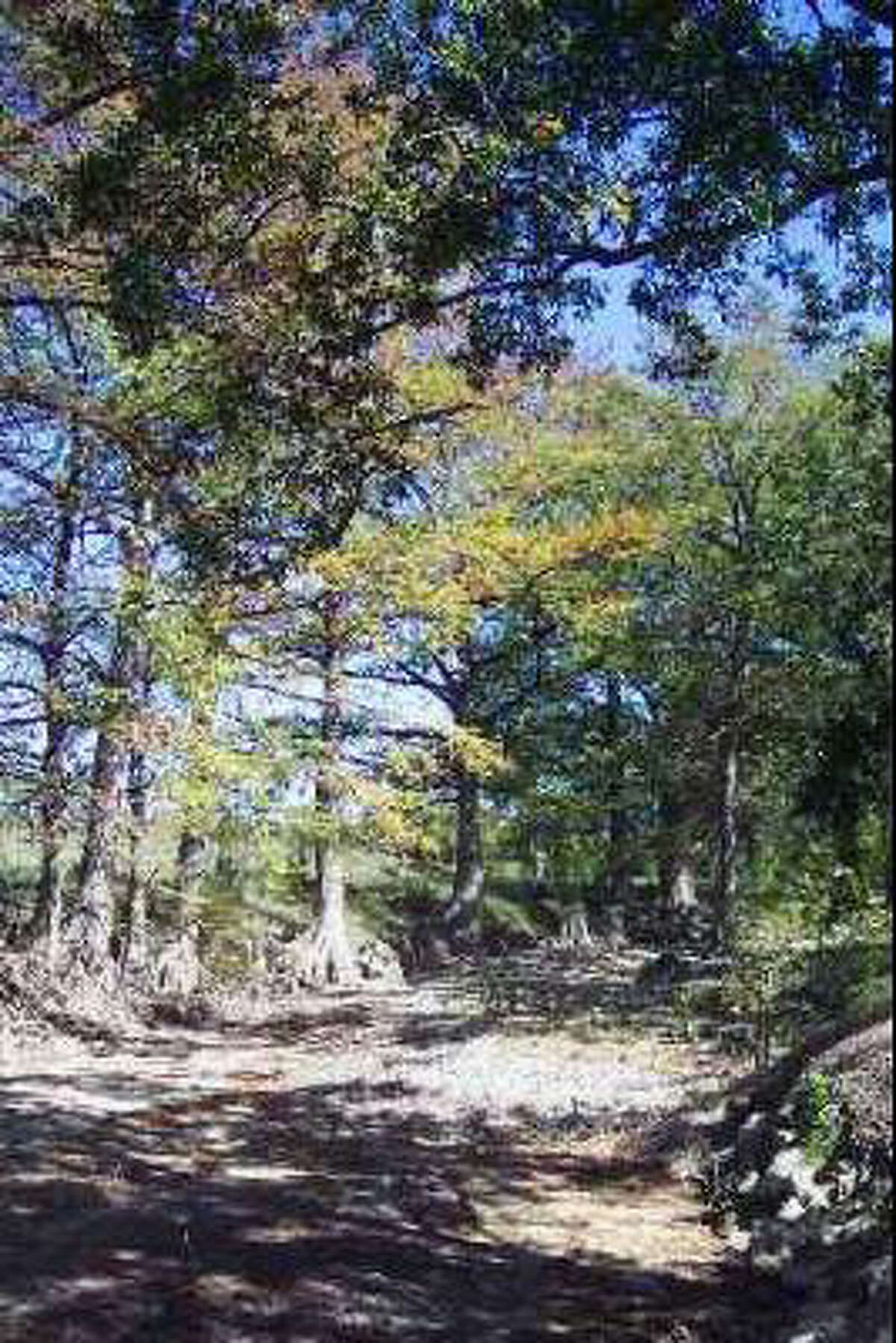 Little Blanco River Property