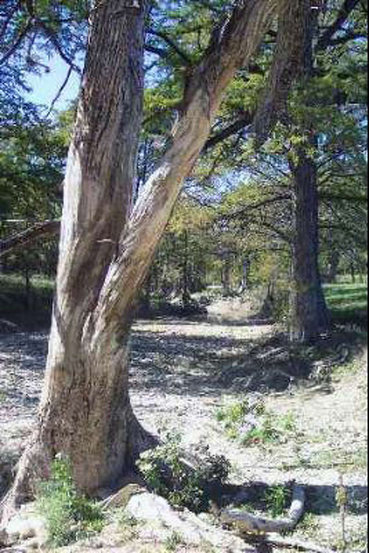 Little Blanco River Property