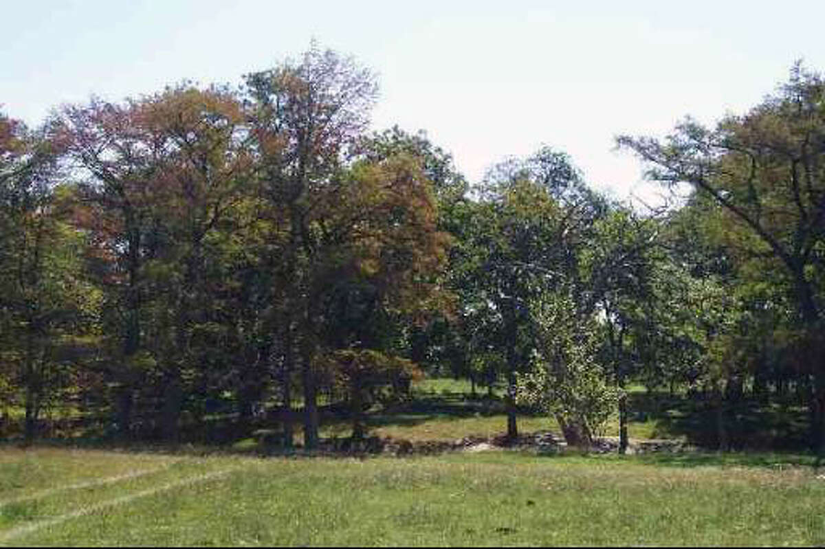 Little Blanco River Property