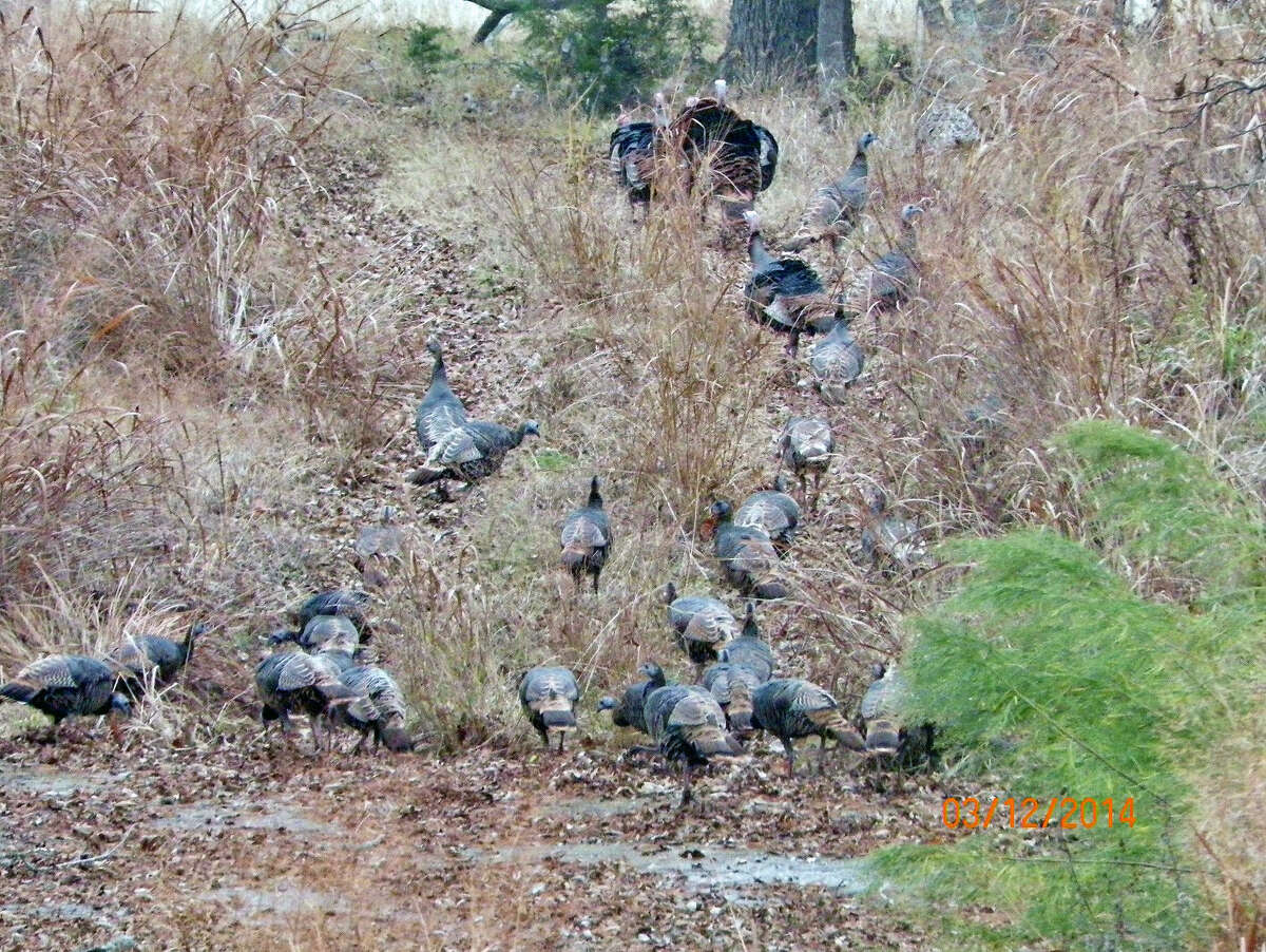 Little Blanco River Property