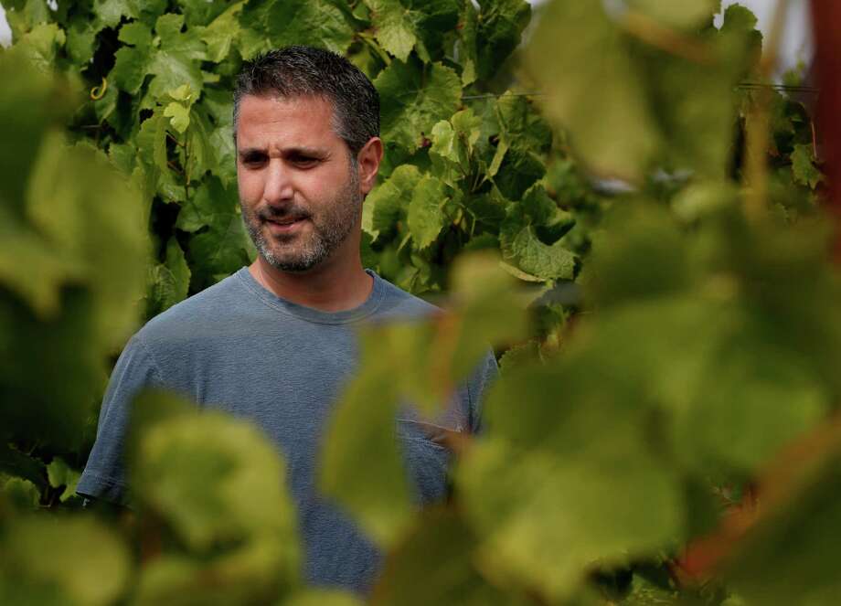 Winemaker Jamie Kutch watches the growth of Pinot Noir grapes at the Falstaff vineyard near Sebastopol he will use for his wine. Photo: Brant Ward / San Francisco Chronicle / ONLINE_YES