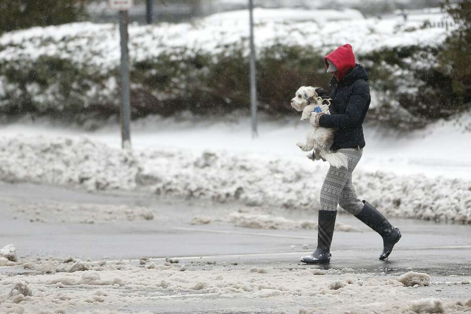  9. Jersey City, NJ

Greet all the dogs at Hidden Grounds Coffee

Have a delicious breakfast with your precious puppy at The Cliff

Brunch is perfect for splitting at Latham House Photo: Julio Cortez, Associated Press 