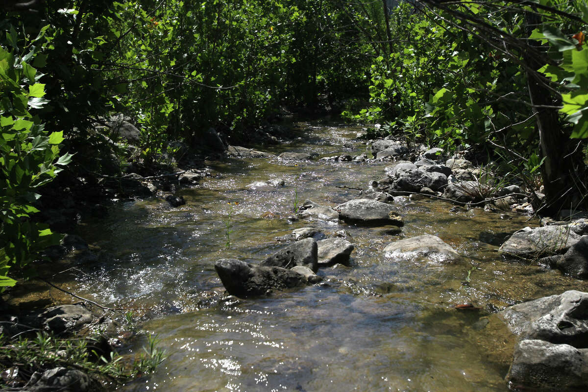 In this 2012 file photo, a tributary to Blanco creek flows through foliage on a ranch near Sabinal that has become part of the Edwards Aquifer Protection Program.