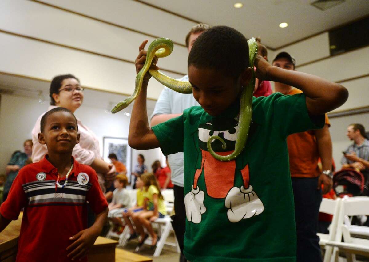 JaKorian Mouton, 7, lays a green tree python around his neck Saturday morning. The Art Museum of Southeast Texas held one of its quarterly Family Art Days on Saturday, focusing on the theme of "don't mess with Texas" and the use of recycled materials in creating art. Photo taken Saturday 8/16/14 Jake Daniels/@JakeD_in_SETX