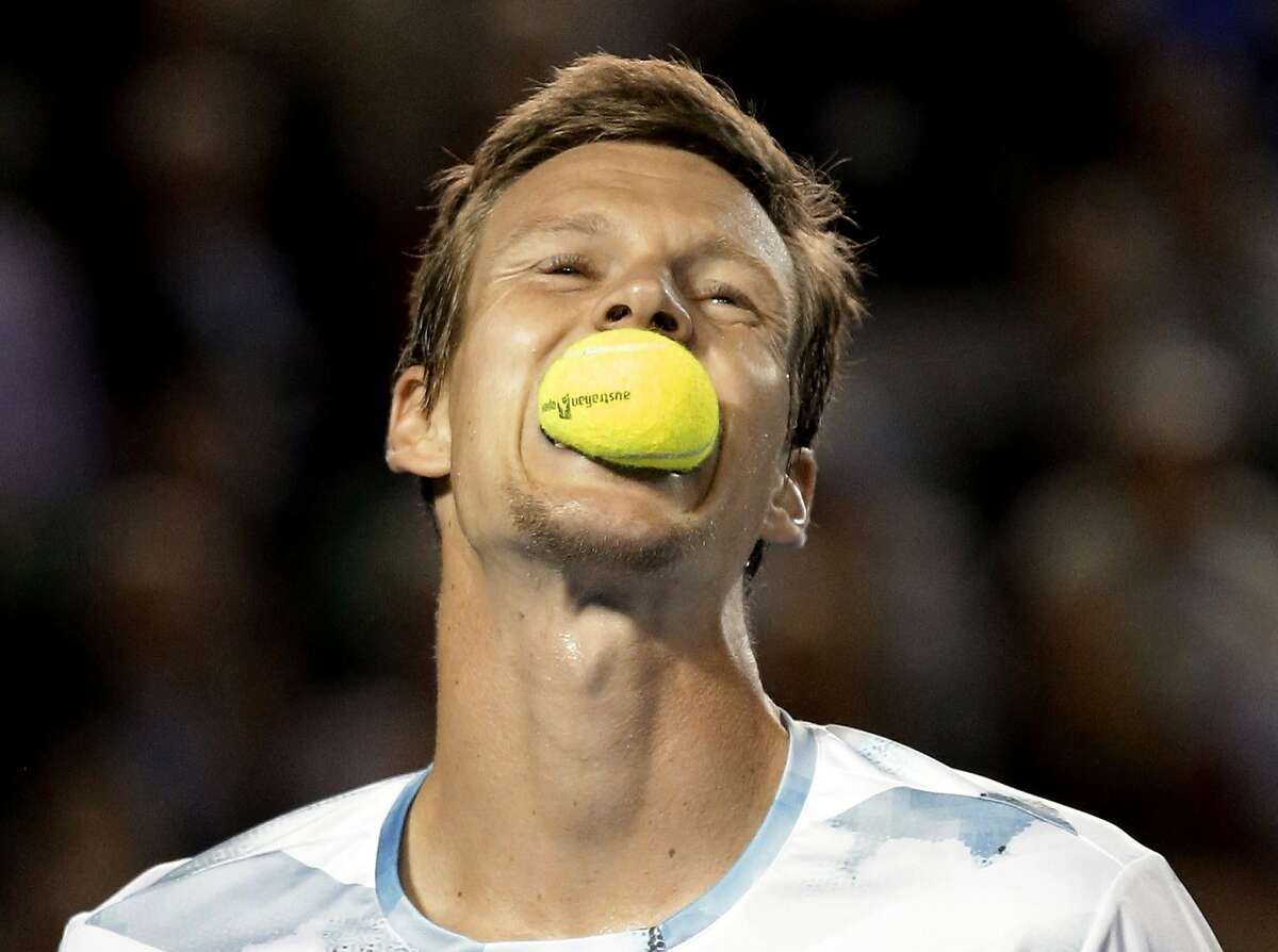FETCH! GOOD BOY: Tomas Berdych bites into a ball like a Golden retriever during a tense semifinal match against Andy Murray at the Australian Open. Murray won in four sets.
