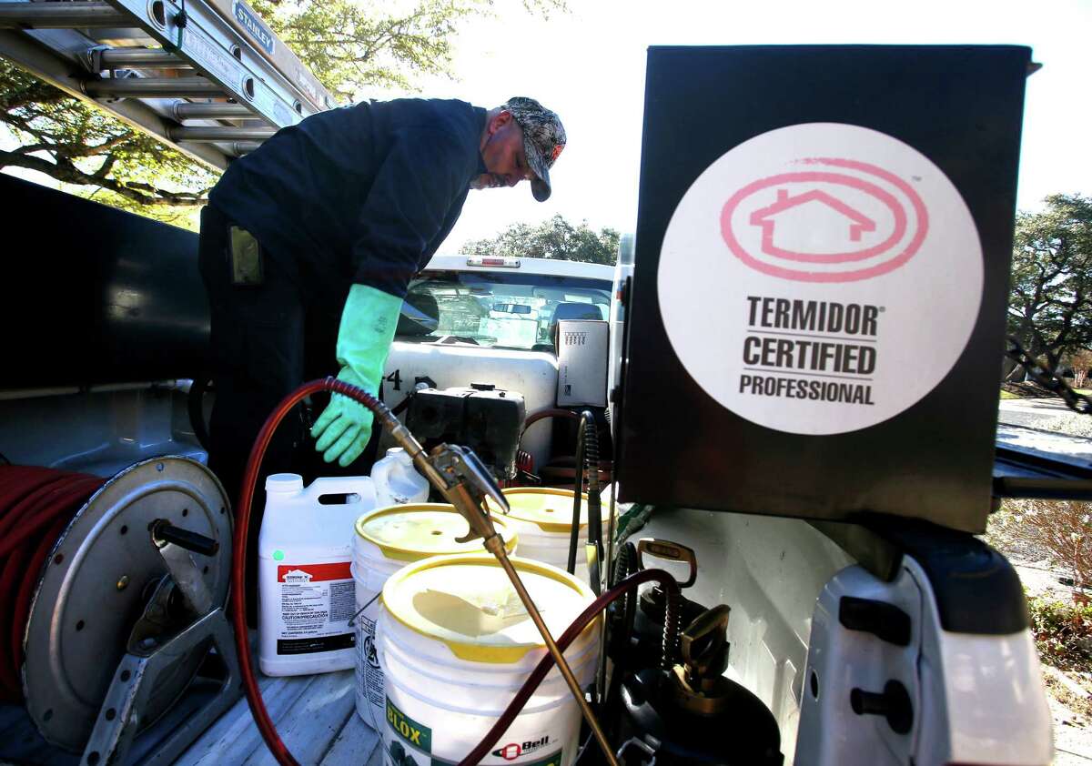 Termites an arrival with warmer spring climate