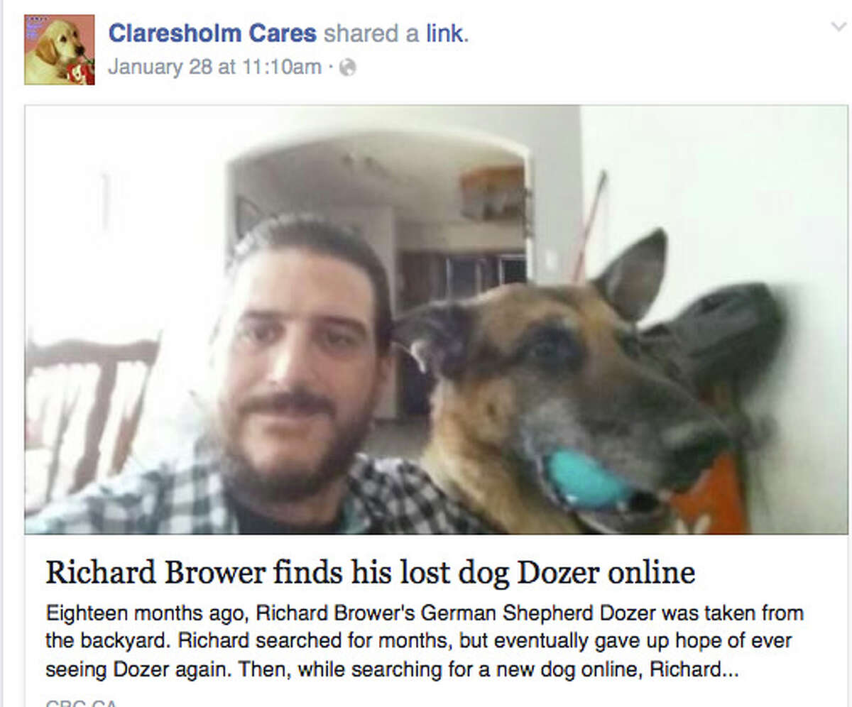 'Miracle' reunites owner with dog stolen 18 months ago