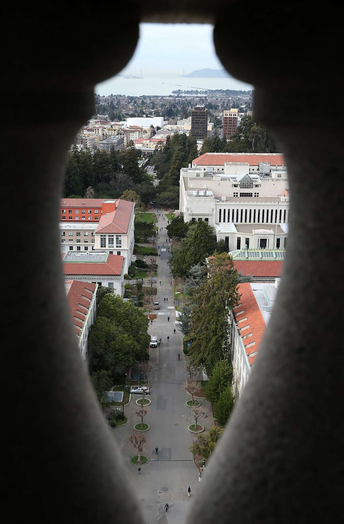 Uc Berkeleys Campanile Marks Years Of Bells And Bones