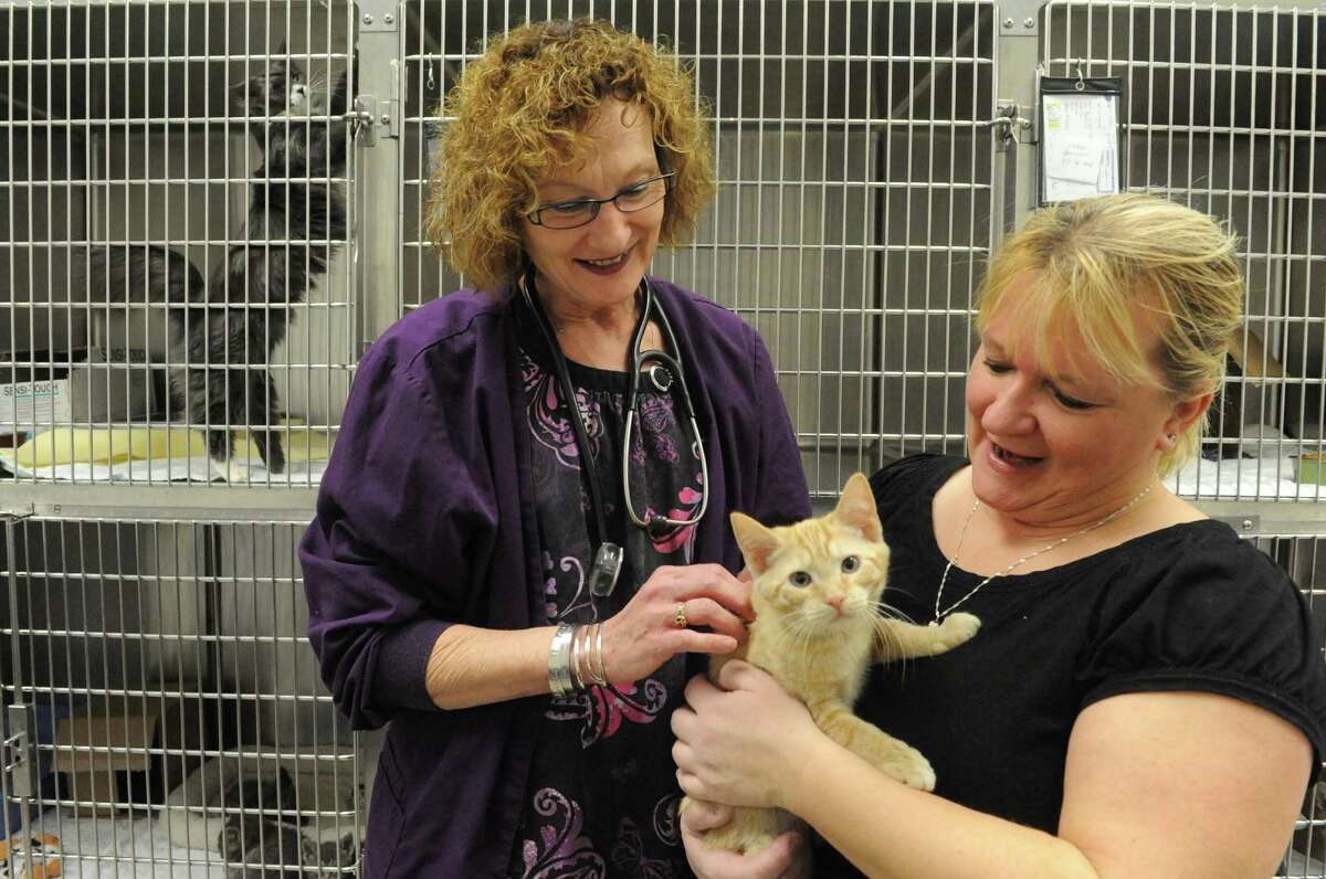 Kelly De Vall, left, with Cheryl Keosky and Jackson at the Saratoga County Animal Shelter on Saturday Jan. 24, 2015 in Ballston Spa , N.Y. (Michael P. Farrell/Times Union)
