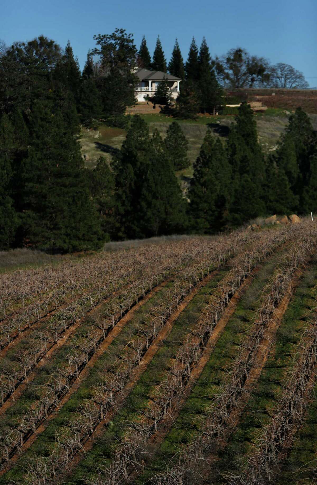 Amador County Wine tasting from simple to sublime