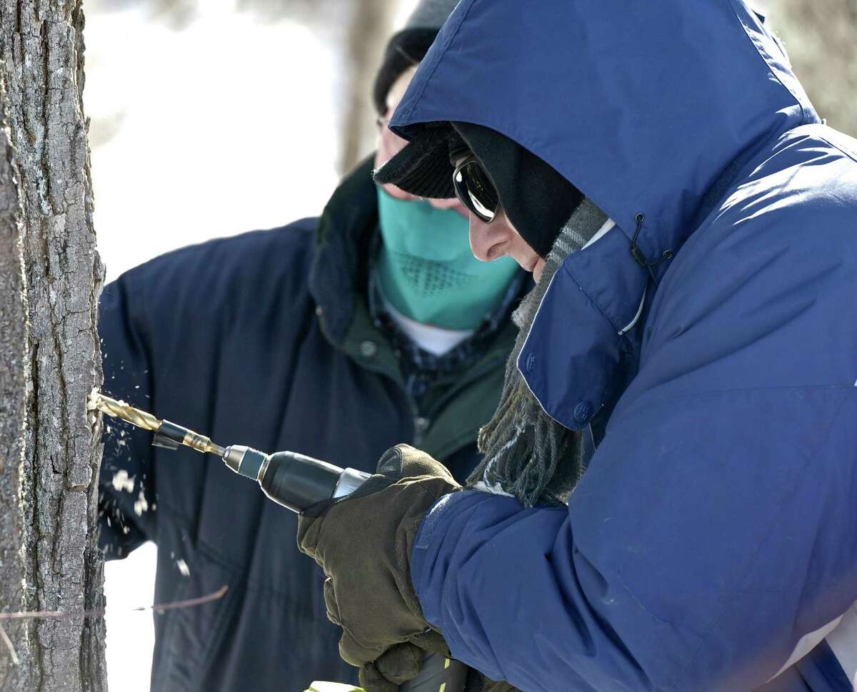 Woodbury nature center continues maple syrup tradition