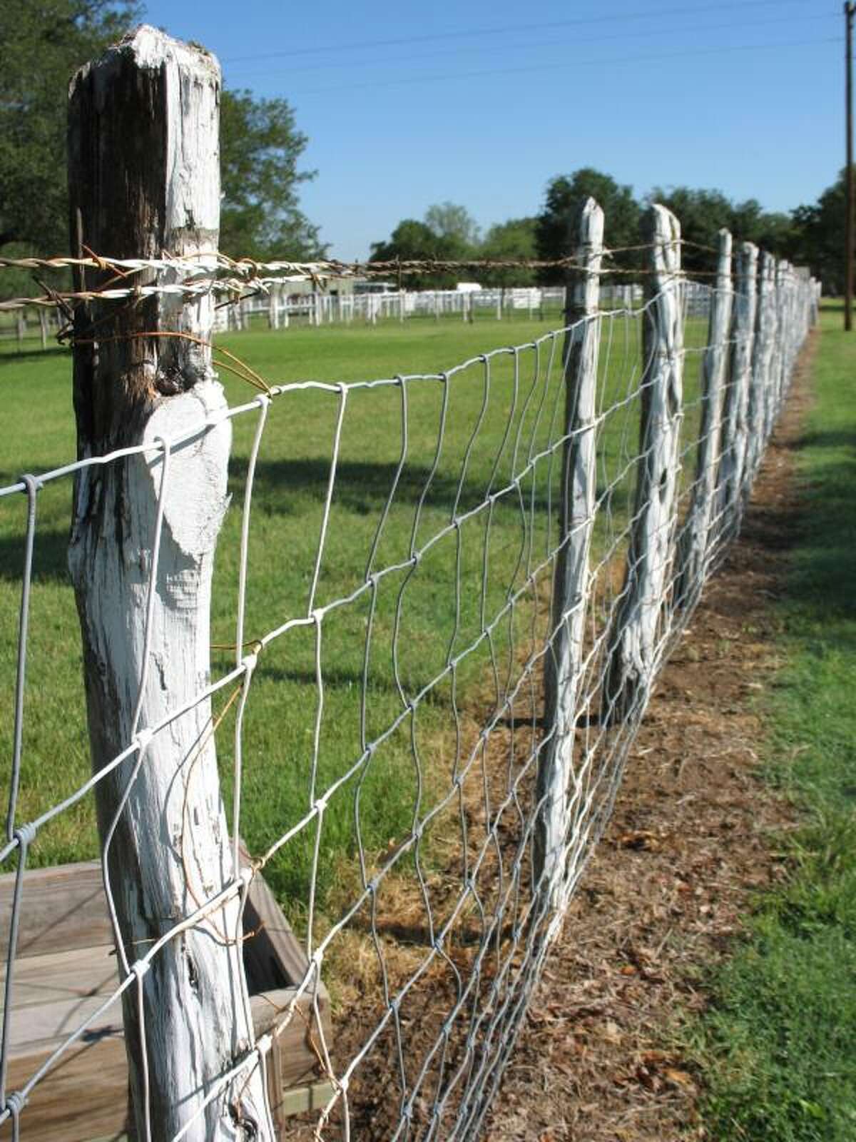 LBJ's Century-old Boyhood Home Restored, Still Standing Strong After ...