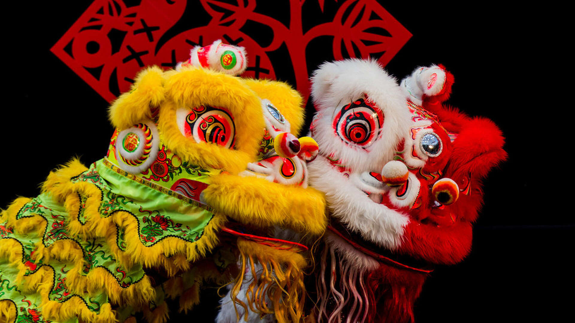Lunar New Year celebrations around the Bay Area