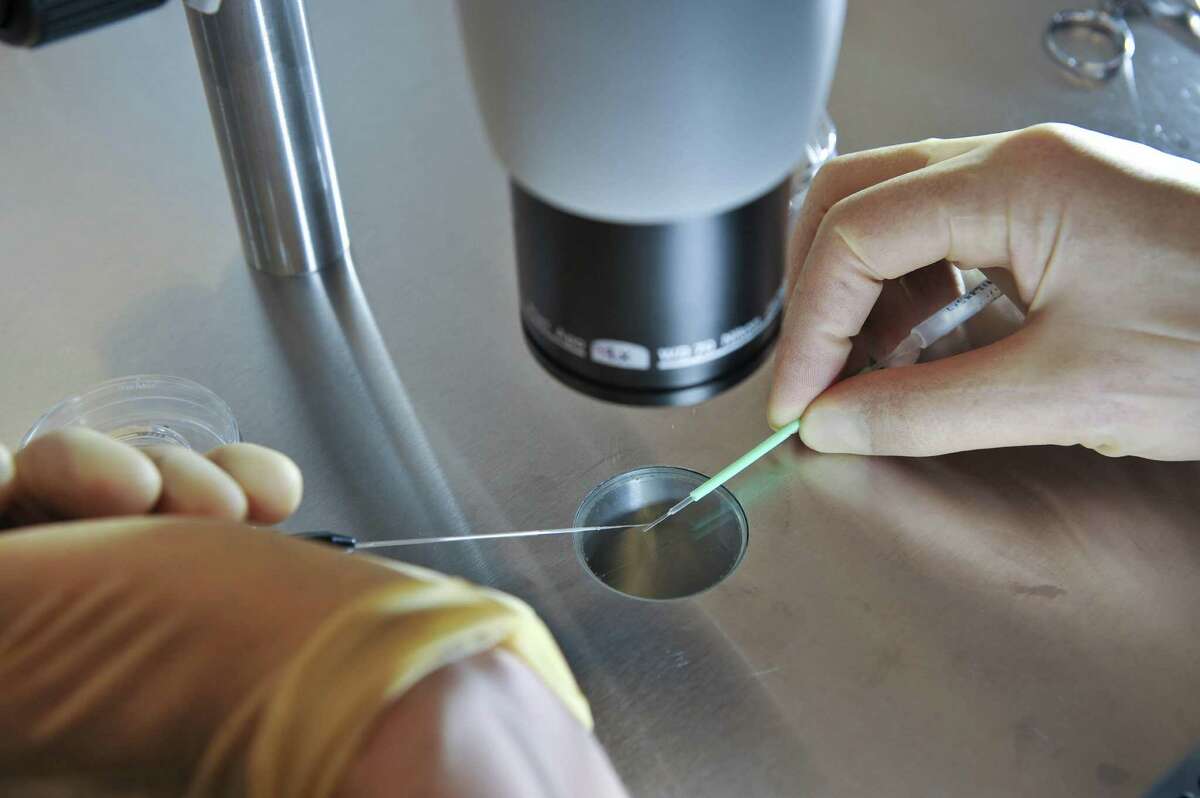 In this Aug. 11, 2008, file photo, a scientist works during an IVF process. A new law, enacted in the 2020 New York state budget, mandates that certain large-group insurance plans cover IVF, and requires all private insurance companies to cover medically necessary egg freezing. (AP Photo/PA, Ben Birchall, File)
