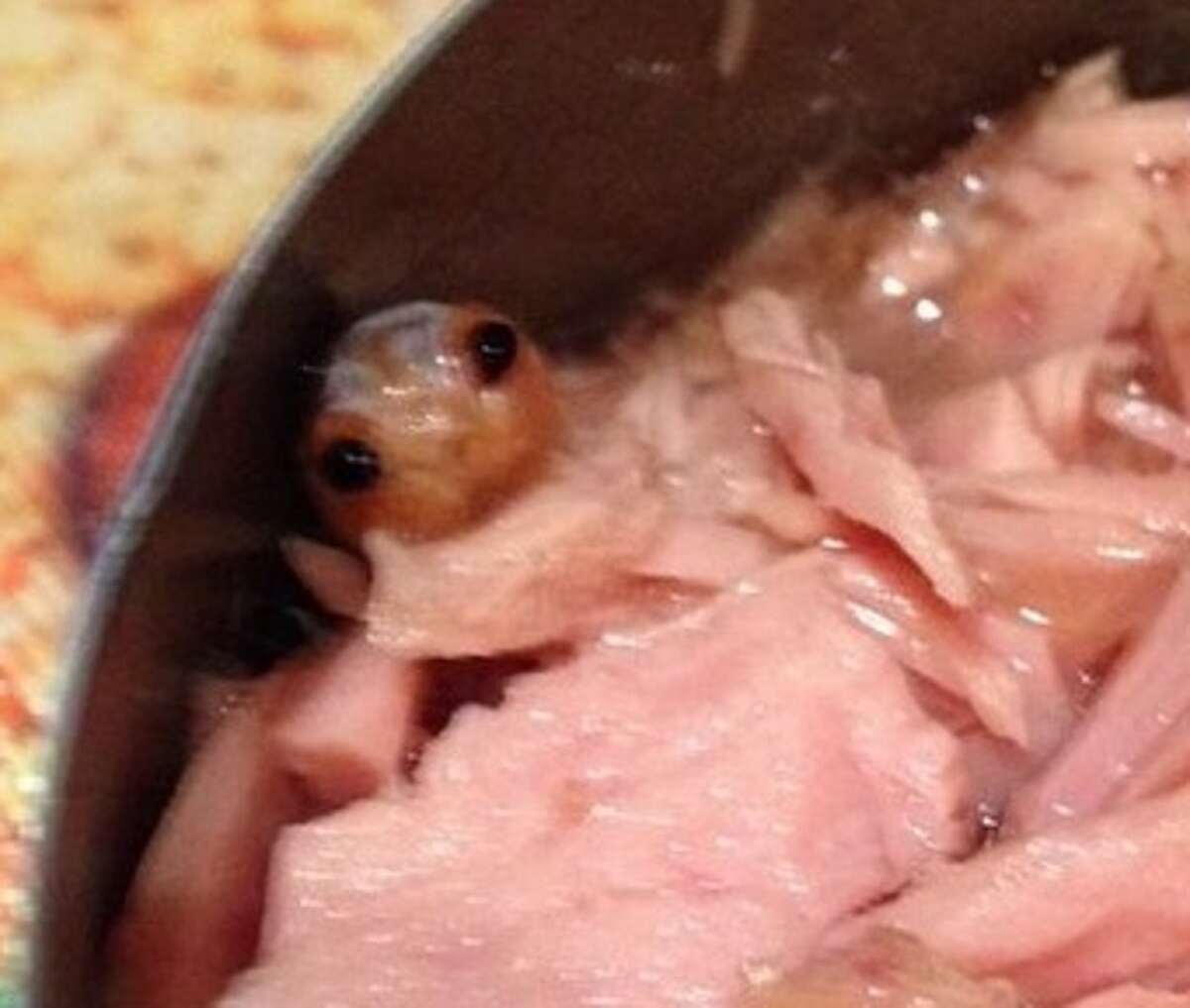 British mom Zoe Butler found a nasty little creature with big black eyes inside her can of Princes tuna.