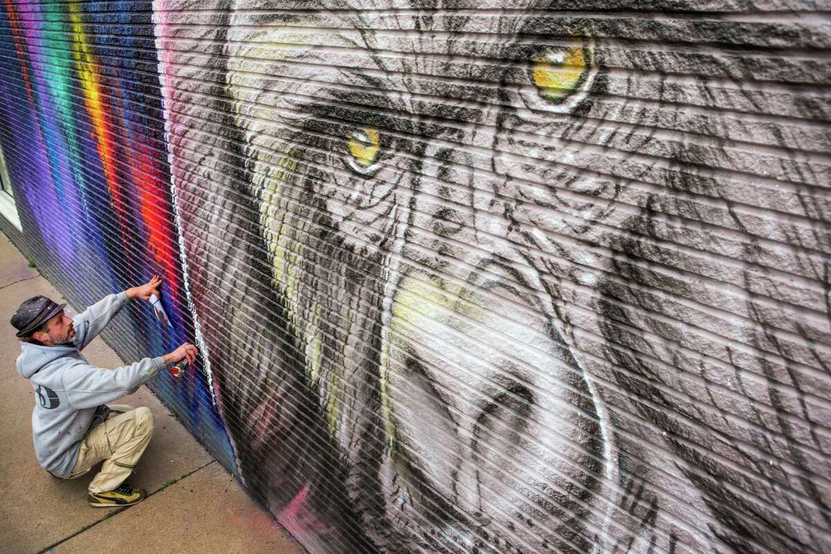 Sebasten "Mr. D" Boileau works on a mural of a gorilla at 2119 Washington Avenue on Thursday, Feb. 5, 2015, in Houston. The mural is part of a partnership with the Houston Zoo, local business owners and five artists to celebrate HoustonâÄôs newest residents, seven western lowland gorillas, arriving soon. The murals will stay on the walls for at least of six months.