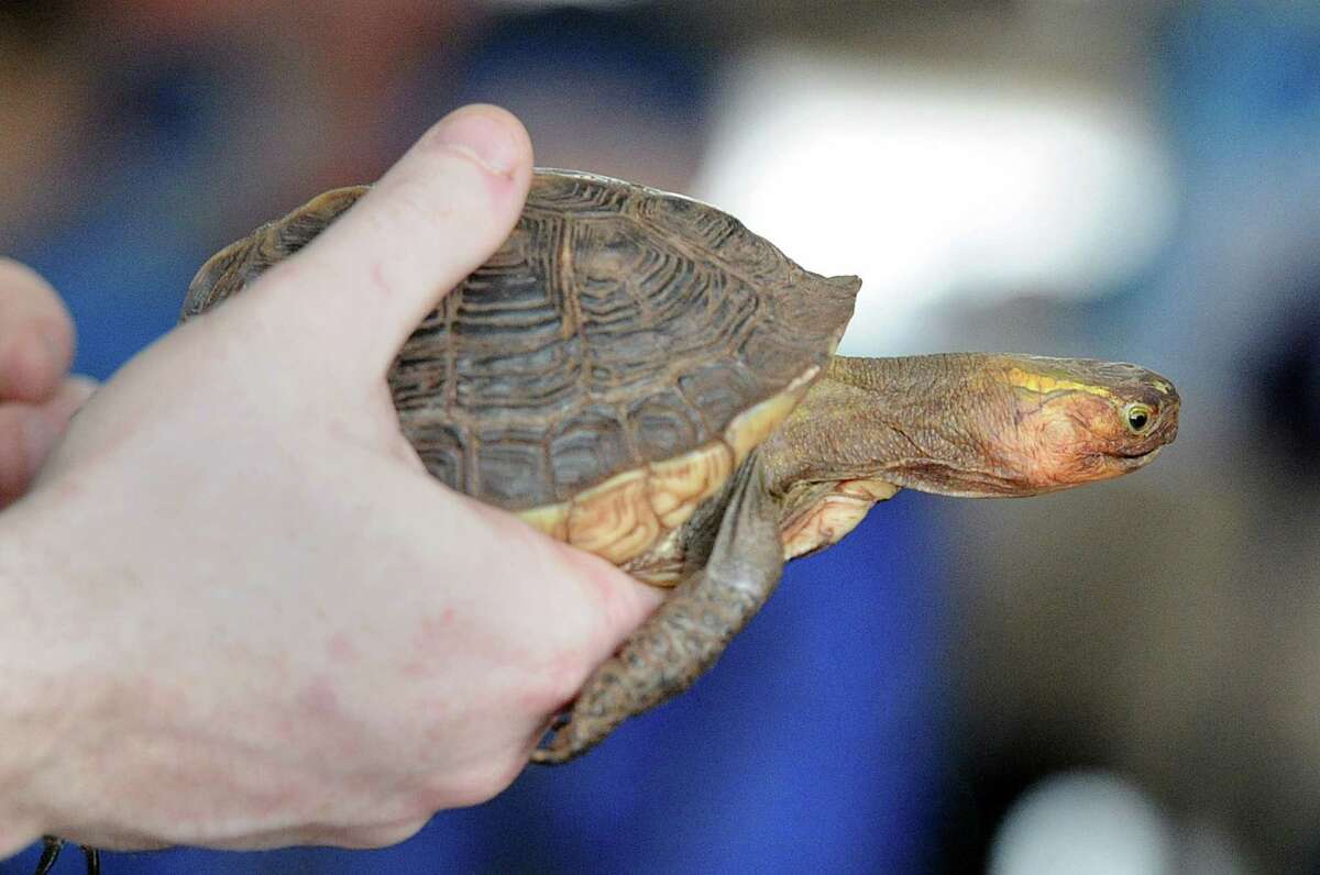 Scouts Enjoy Day Of Fun At Nature Center