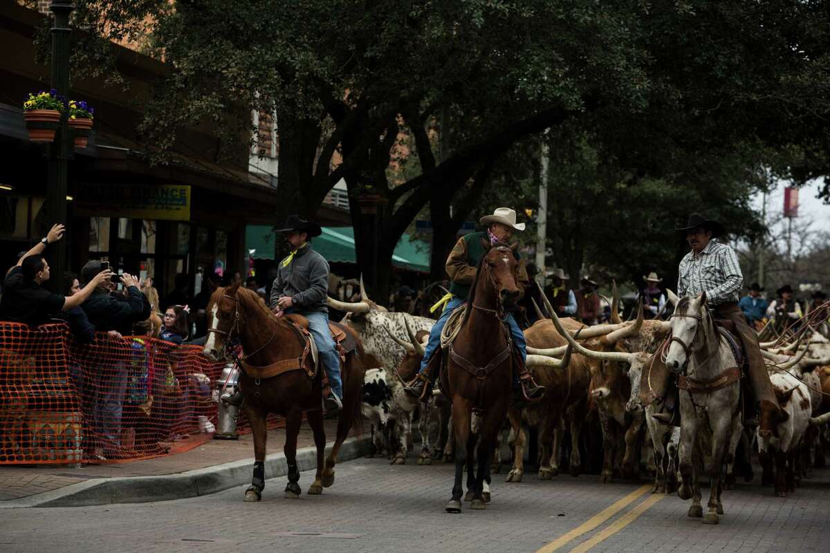 Annual Western Heritage Parade & Cattle Drive