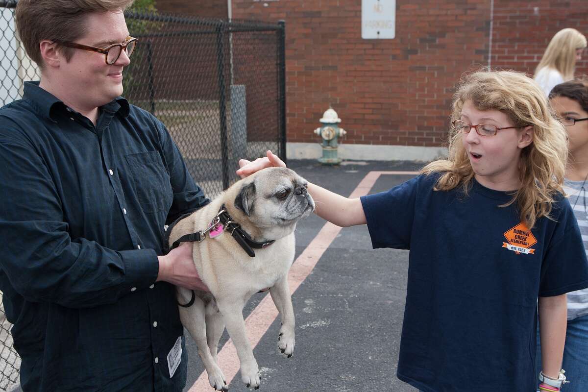 Rummel Creek pupils learn from rescue dogs