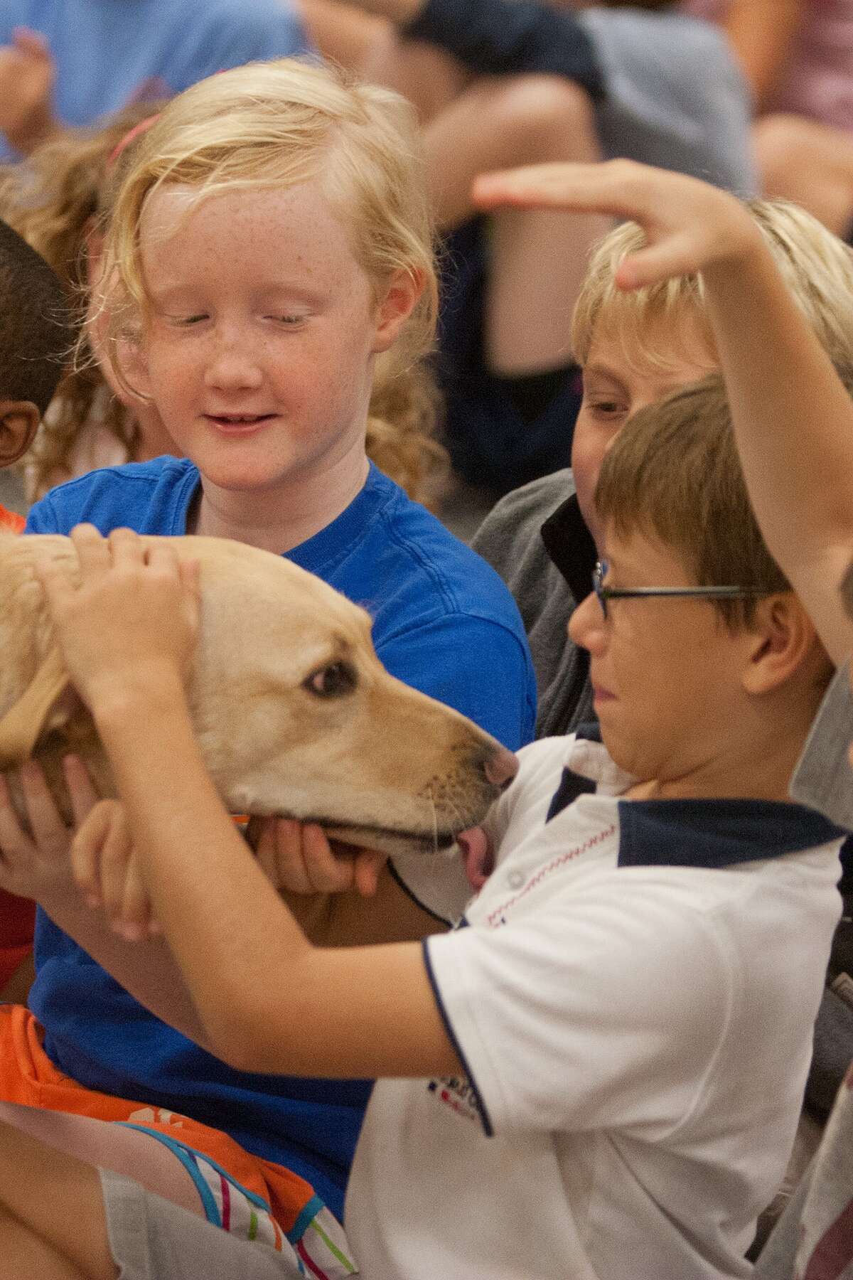 Rummel Creek pupils learn from rescue dogs