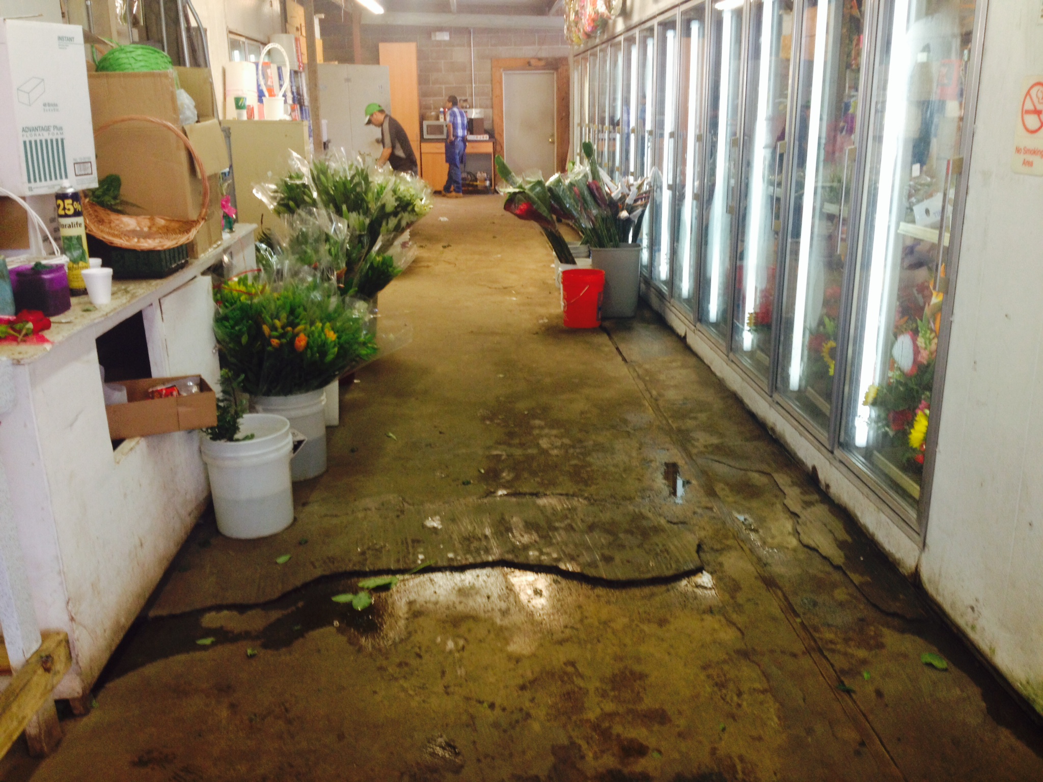 Fannin Street Flowers Houston Tx Best Flower Site