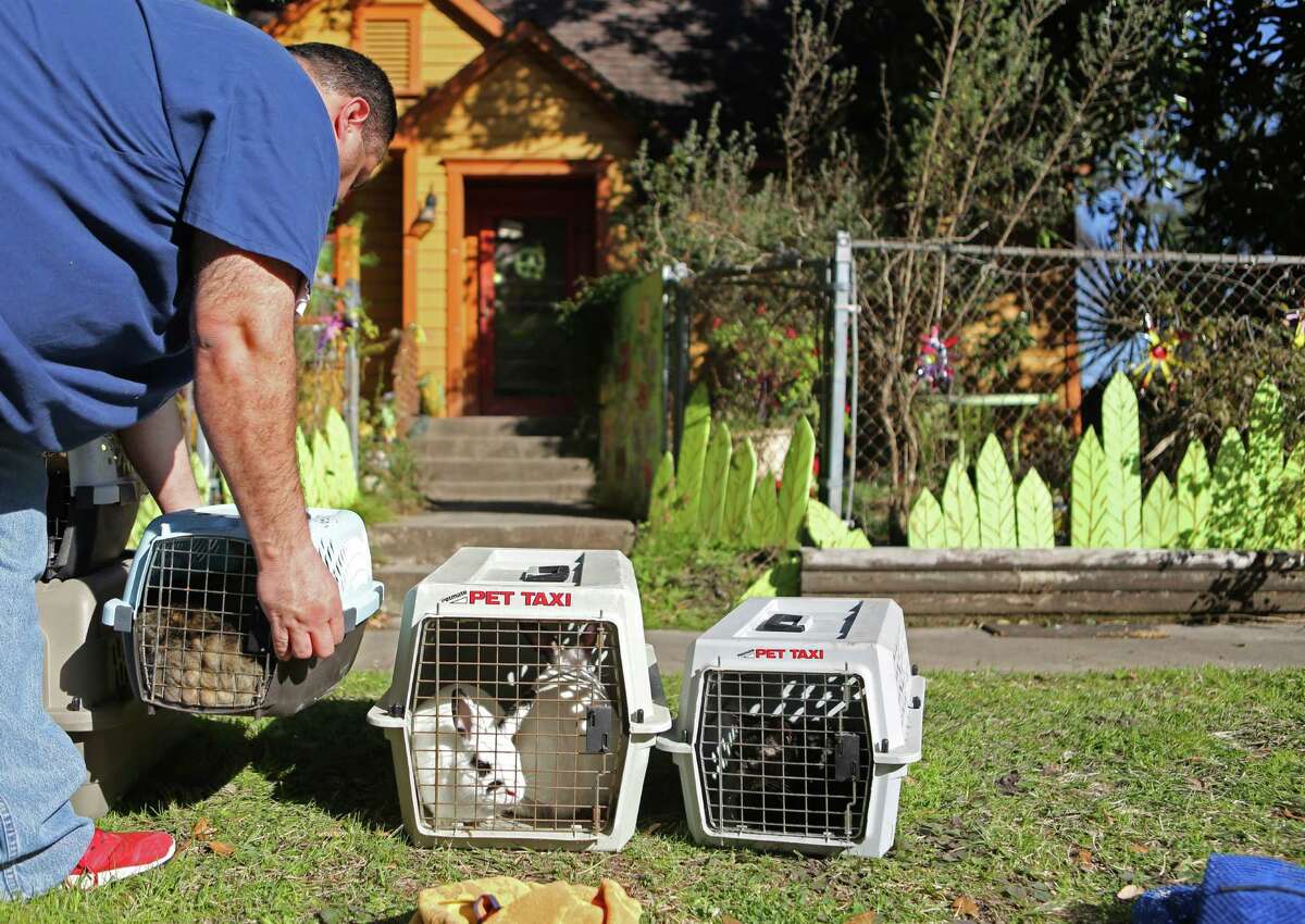 Humane Society Working To Rehab Dozens Of Animals From Heights-area Home