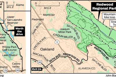 Redwood Regional Park Map Sunday Drive Through Redwood Regional Park