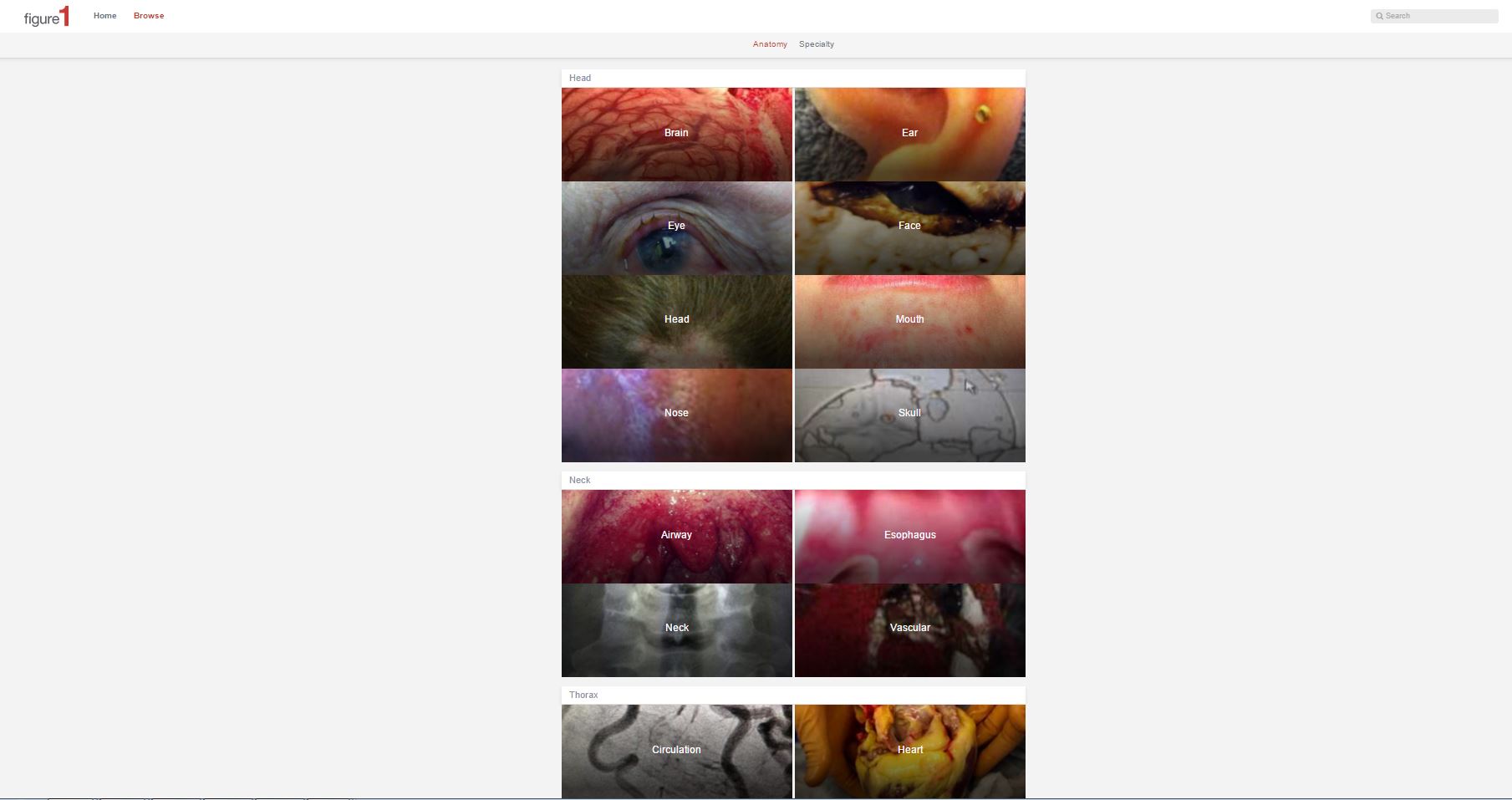 Gross medical pictures