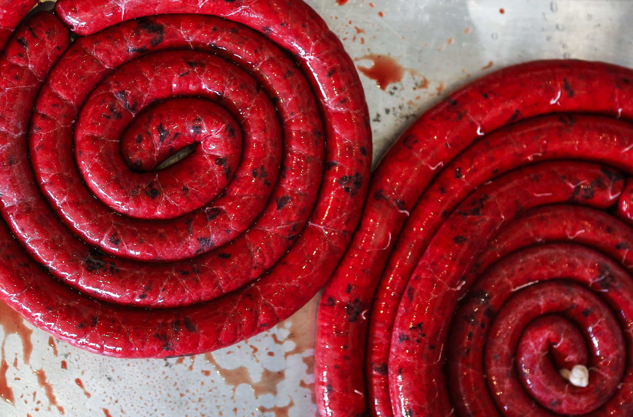 can dogs eat blood sausage