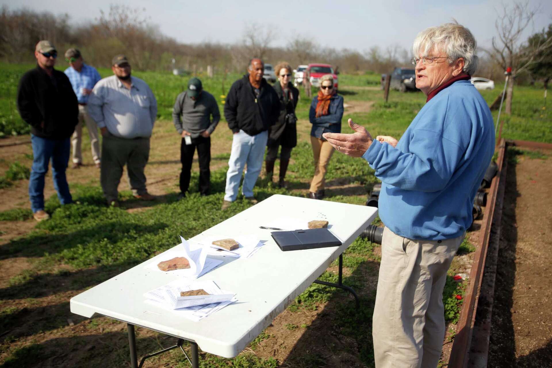 Study looks at plants’ survival skills