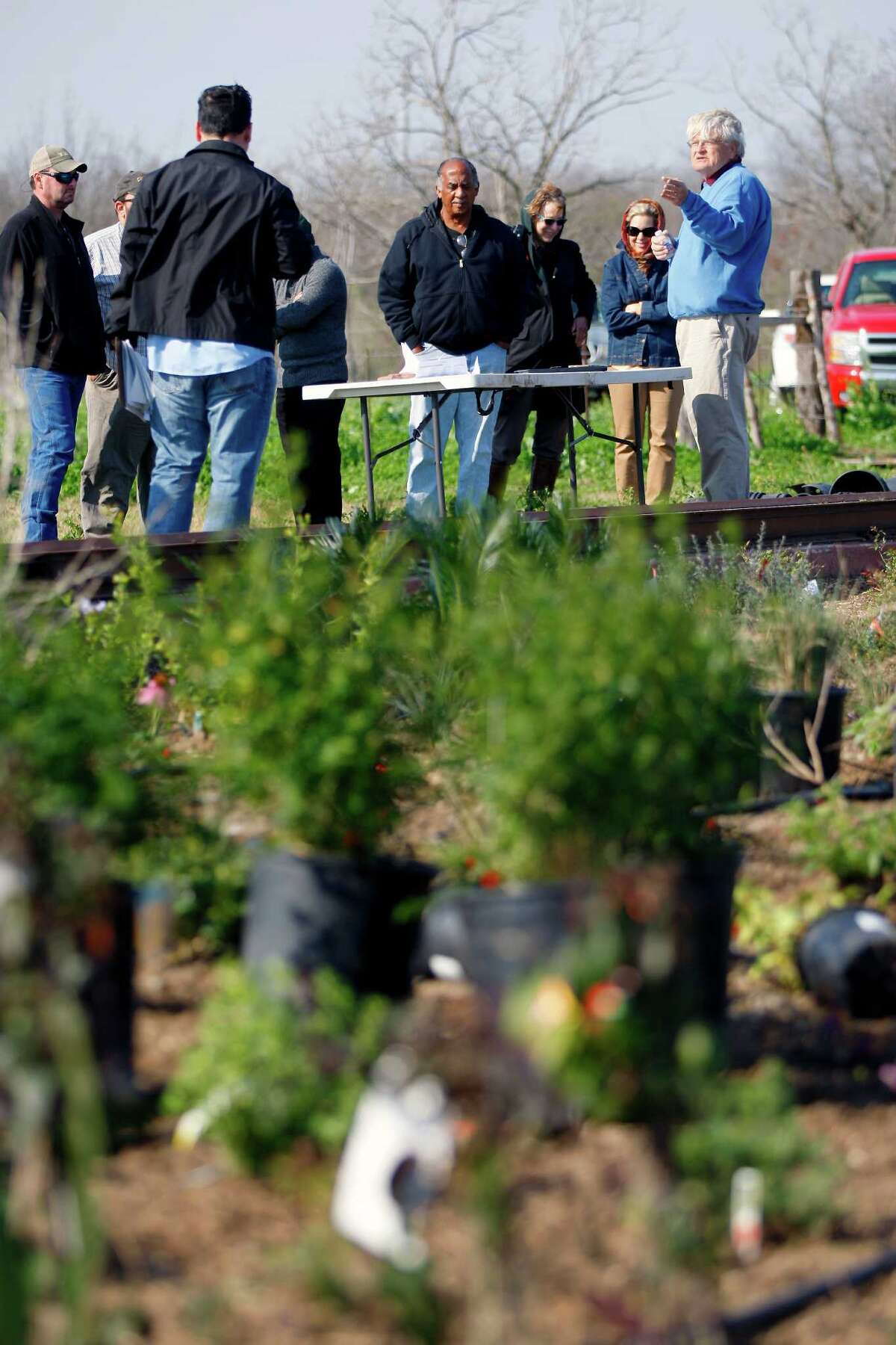 Study looks at plants' survival skills