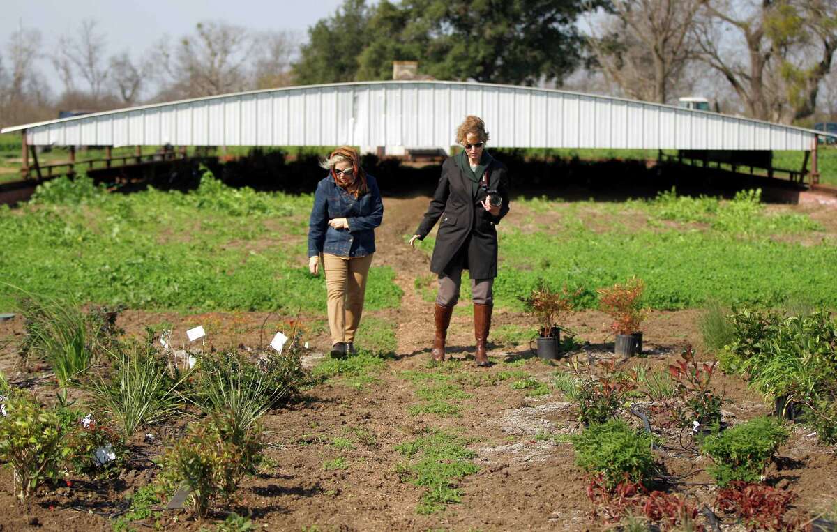 Study looks at plants’ survival skills