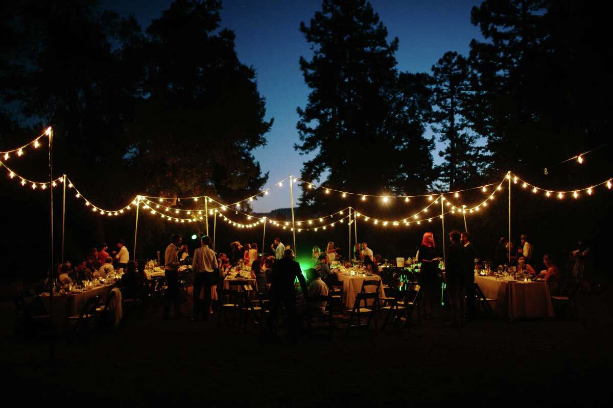 Couple tie the knot in earthly Ben Lomond wedding