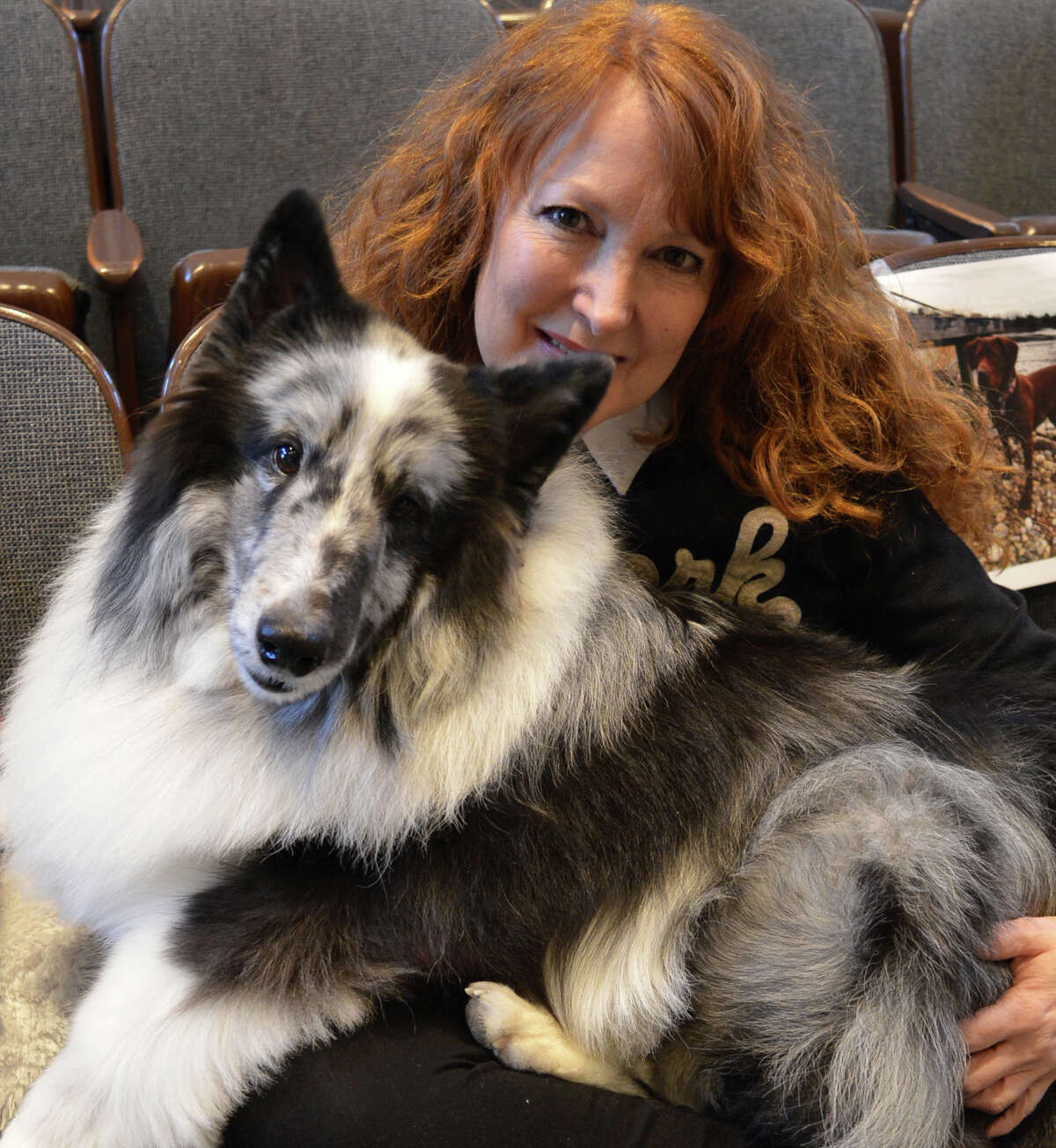 AKC breaks down which dog breeds America loves the most