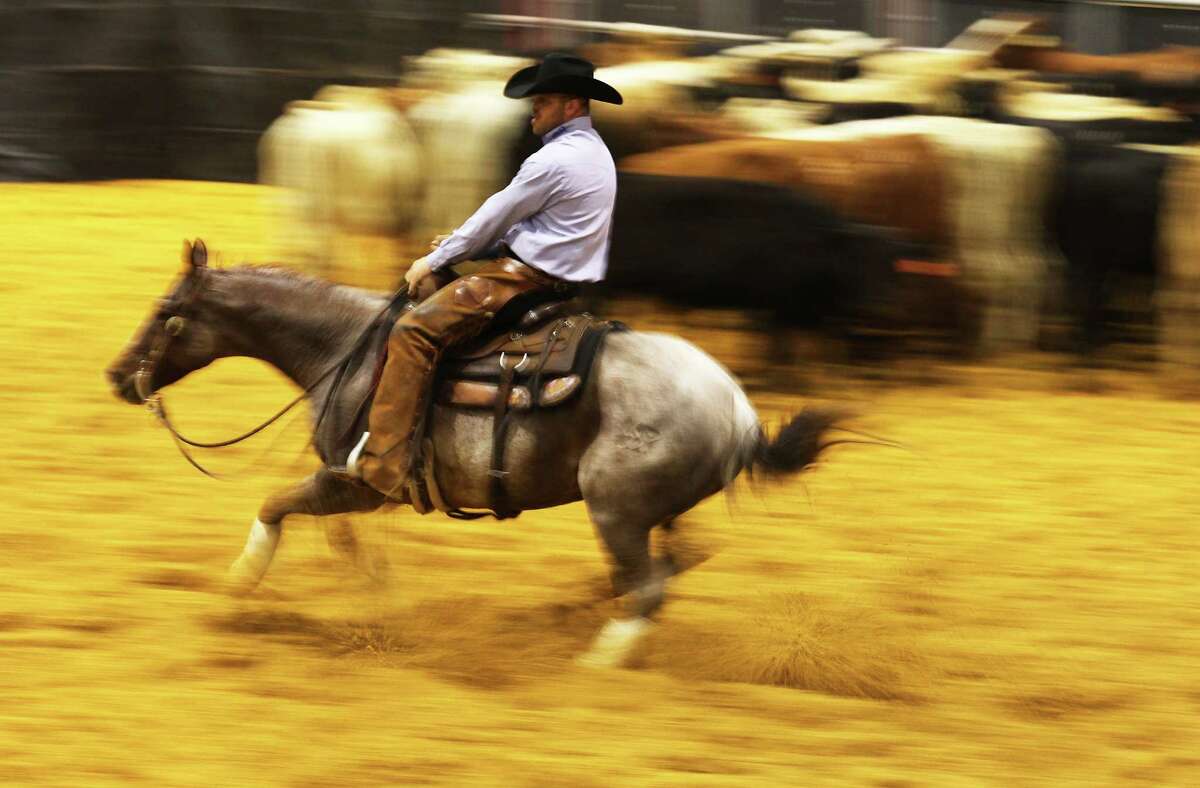 Steve Oehlhof, riding SDP Locked N Loaded, chases after a calf in a round of cutting horse competition at the 2015 San Antonio Stock Show & Rodeo on Saturday, Feb. 14, 2015. Oehlhof was competing in the Mercuria/NCHA World Series Open. The finals will be on Sunday.