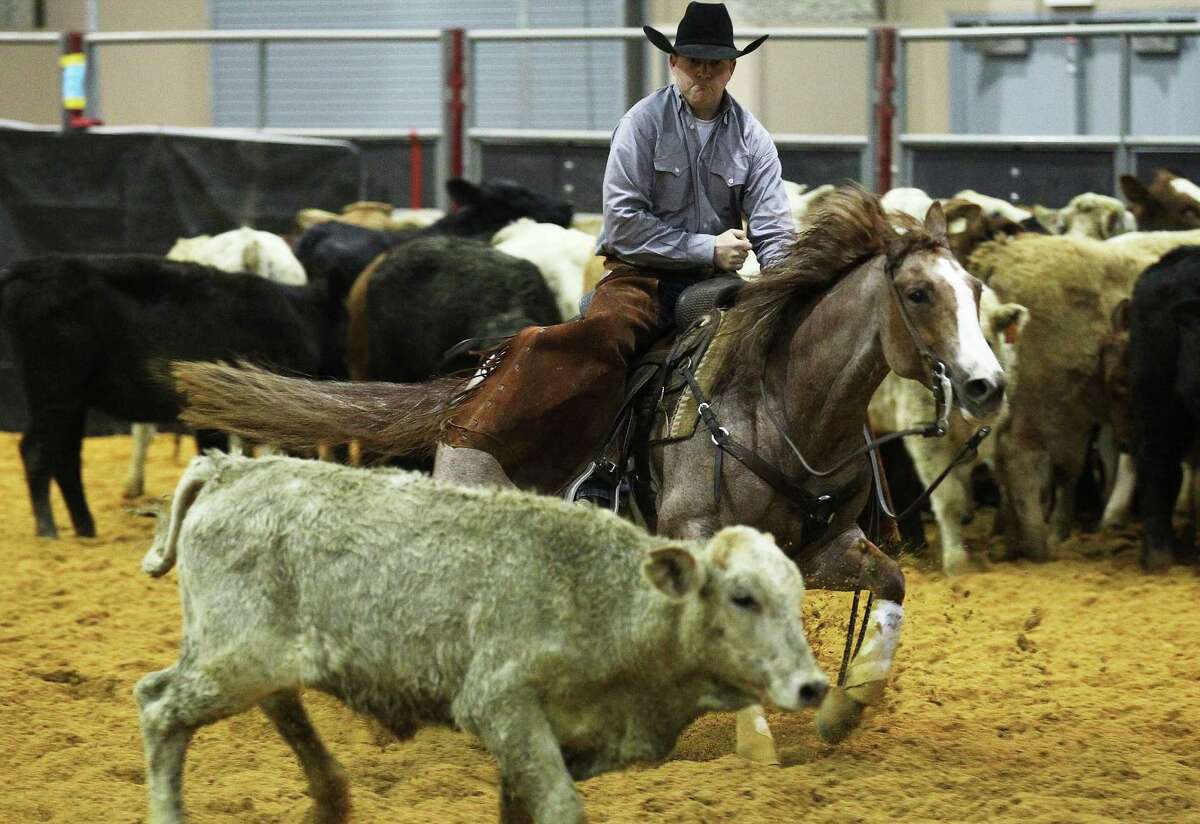 Greg Smith, riding Moms Stilish Cat, competes in a round of cutting horse competition at the 2015 San Antonio Stock Show & Rodeo on Saturday, Feb. 14, 2015. Smith was competing in the Mercuria/NCHA World Series Open. The finals will be on Sunday.