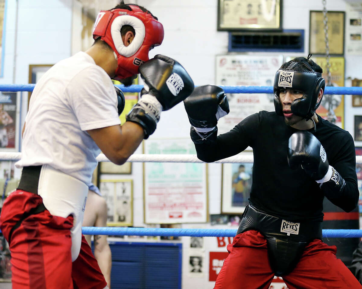 Pro boxer Joseph "Mongoose" Rodriguez, 22, (left) spars with Golden Gloves boxer Johnny Moreno Jr., 25, Thursday Feb. 12, 2015 at the Calderon Boys & Girls Club.