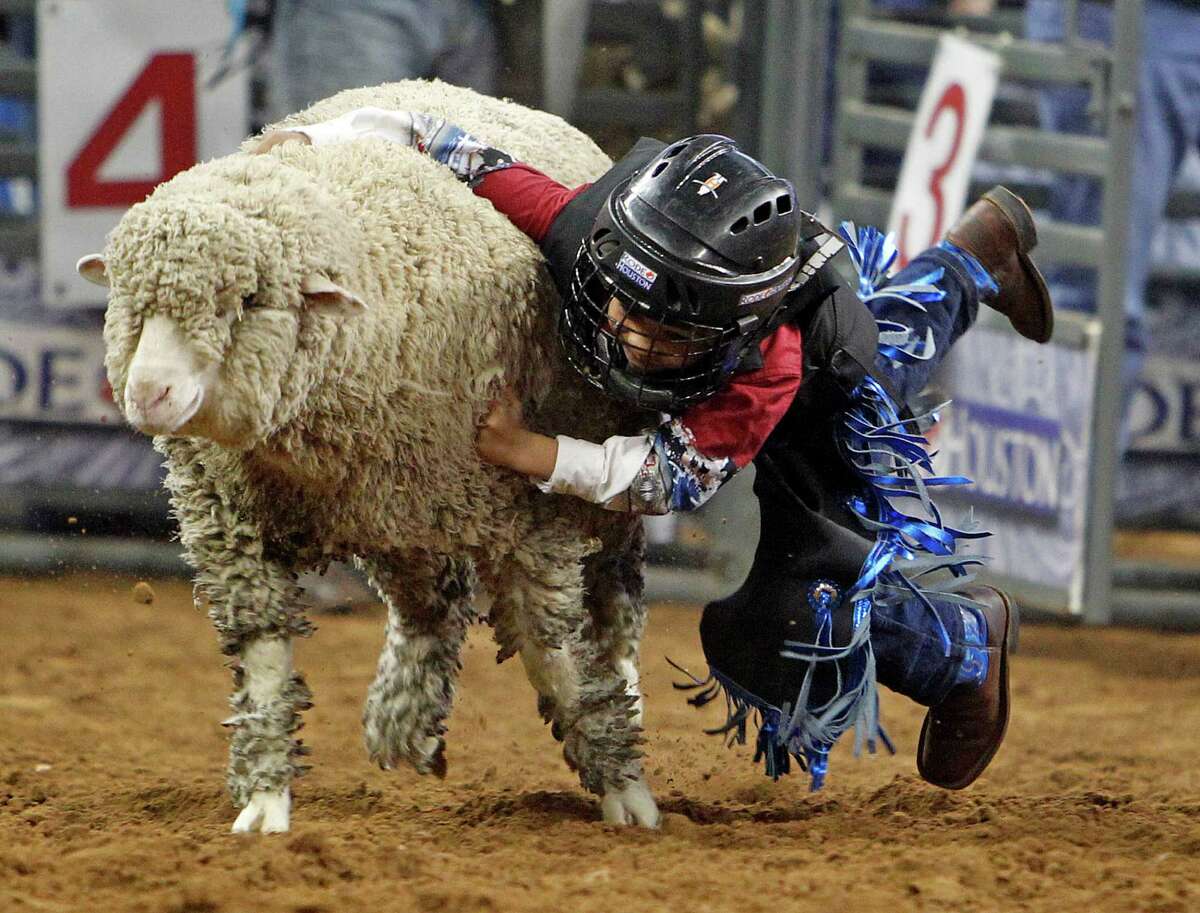 Mutton busting is serious business at RodeoHouston