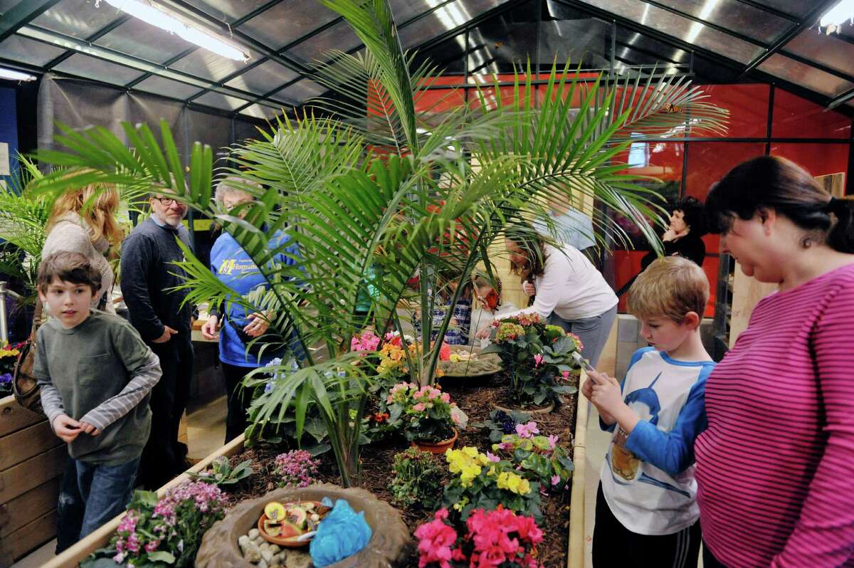 Photos MiSci butterfly house