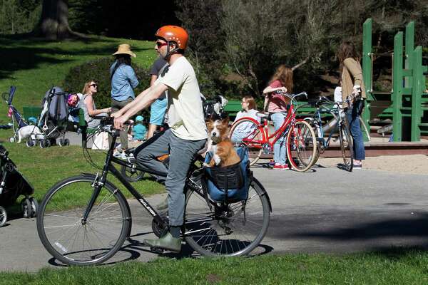 Bike to playgrounds near Golden Gate Park