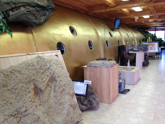 Fossils and faith: The Creation Evidence Museum of Texas