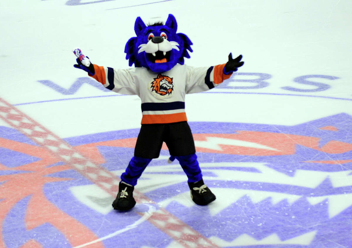 Take the kids to watch the Bridgeport Sound Tigers Webster Bank Arena, 600 Main St, Bridgeport CT 06604 The Sound Tigers are a professional ice hockey team and play their games at the Webster Bank Arena in Bridgeport. They are an affiliate of the NHL's New York Islanders, who also own the franchise.