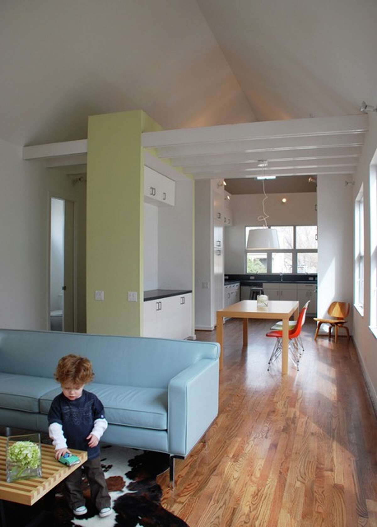 Green builder aims to transform Houston housing with kit homes