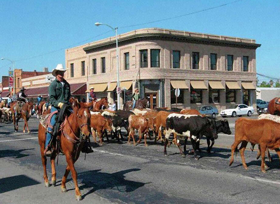 Cattle drive comes to Chowchilla SFGate