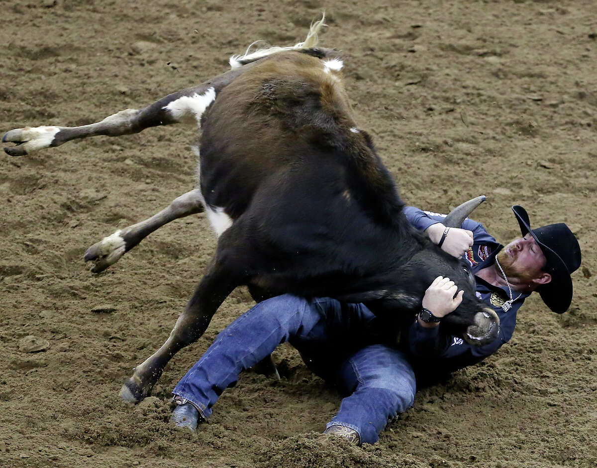 Clayton Hass, from Terrell, TX, competes in the steer wrestling event during the 66th annual San Antonio Stock Show & Rodeo Thursday Feb. 19, 2015 at the AT&T Center. Hass' time was 4.4 seconds.